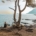 vue côtière de toulon métropole